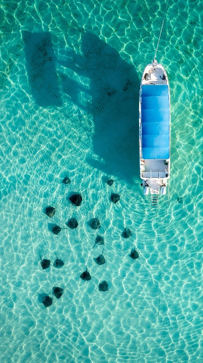 Stingray City Boat Trips