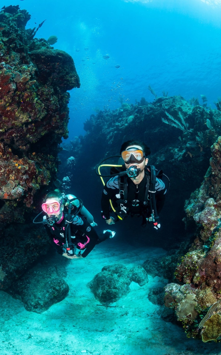 Classic Dive Boat Trips