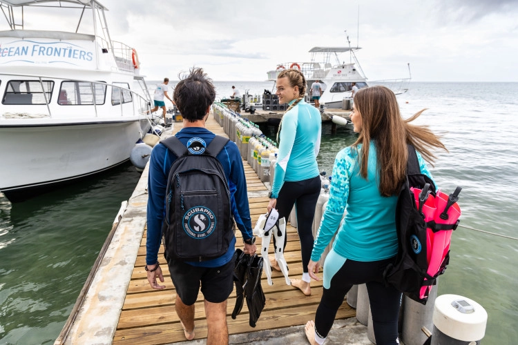 Private Snorkel Charters