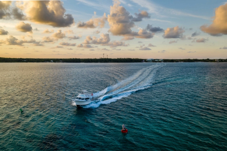 Welcome Cruise