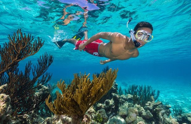 X-Snorkel Adventure