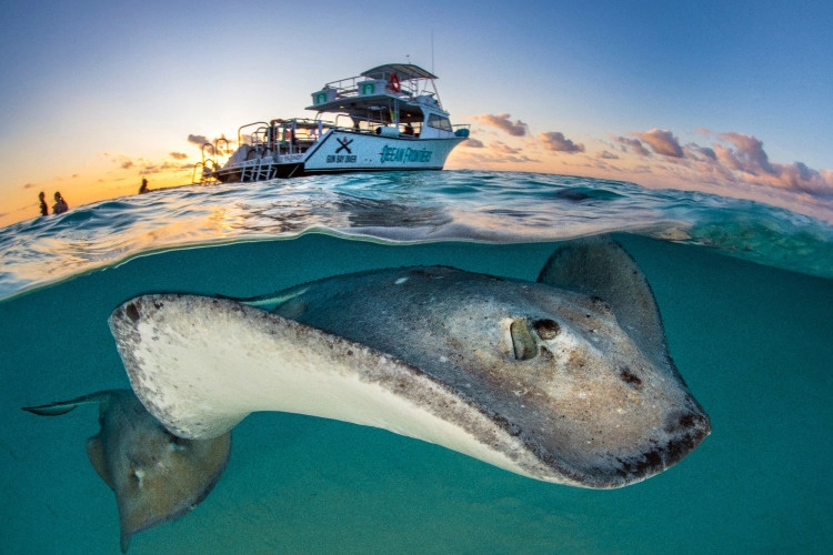 Stingray Sandbar