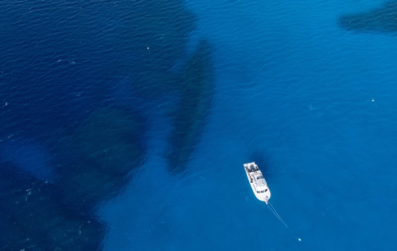 Kittiwake Wreck Safari