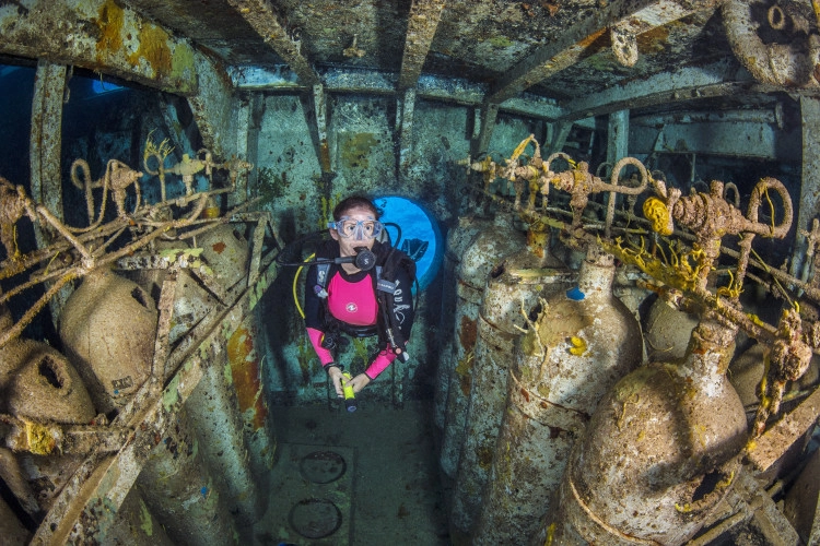 Kittiwake Wreck Safari