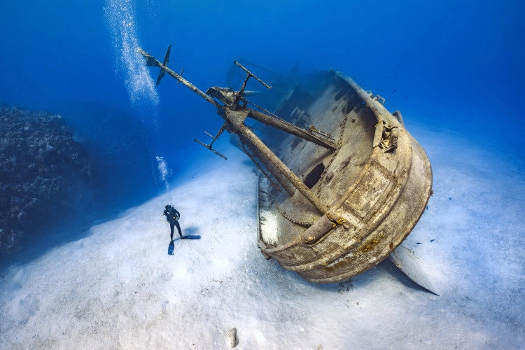 Kittiwake Wreck Safari