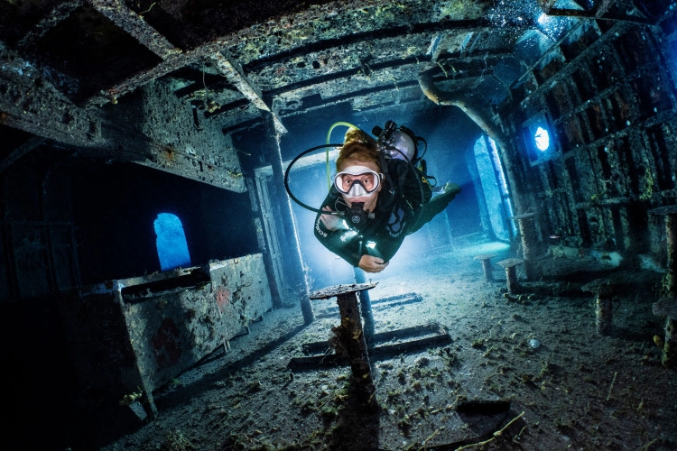 Kittiwake Wreck Safari