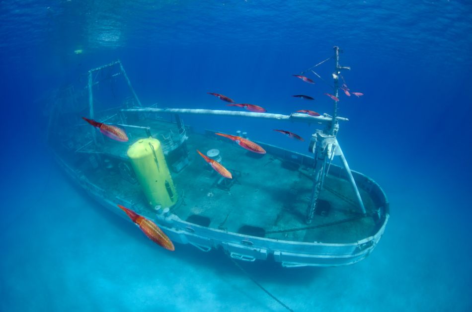 Kittiwake Wreck Diving in Grand Cayman - Image 36